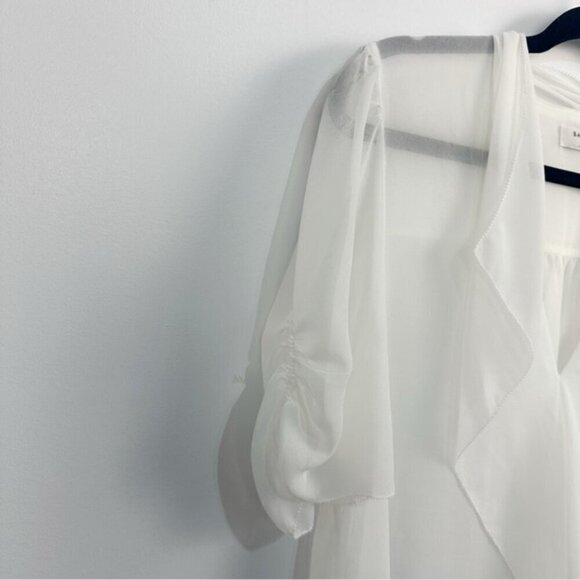 Aritzia Babaton Tinsley Sheer Ruffle Front Blouse Sz Large - Picture 6 of 14